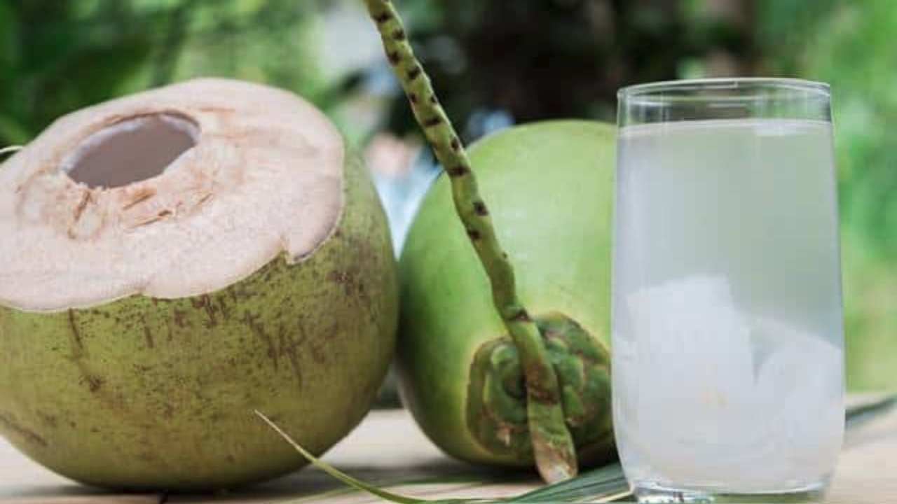 रोजाना इस तरह नारियल पानी पीना होगा सबसे ज्यादा फायदेमंद, जानिए पीने का सही तरीका