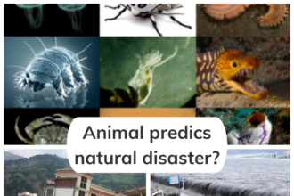 Wonderful Animals predicts: क्या जानवर प्राकृतिक आपदाओं की भविष्यवाणी कर सकते है, Myth or Reality?